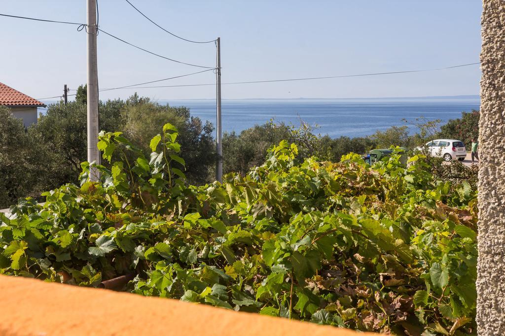 Apartment Agava Miholascica Zewnętrze zdjęcie